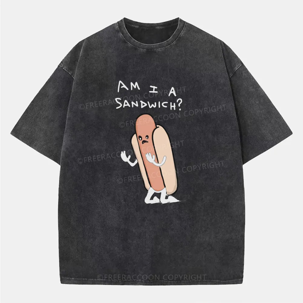 Vintage Am I A Sandwich Washed T-Shirt