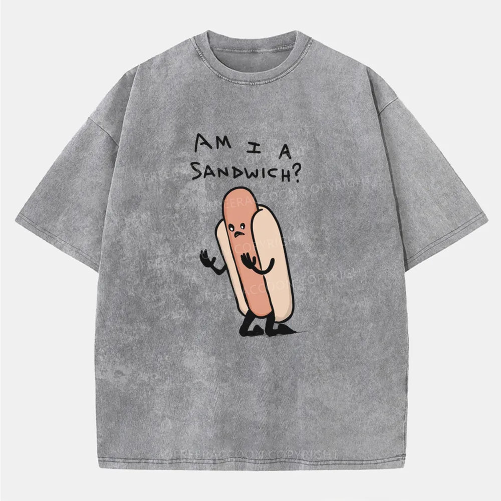 Vintage Am I A Sandwich Washed T-Shirt