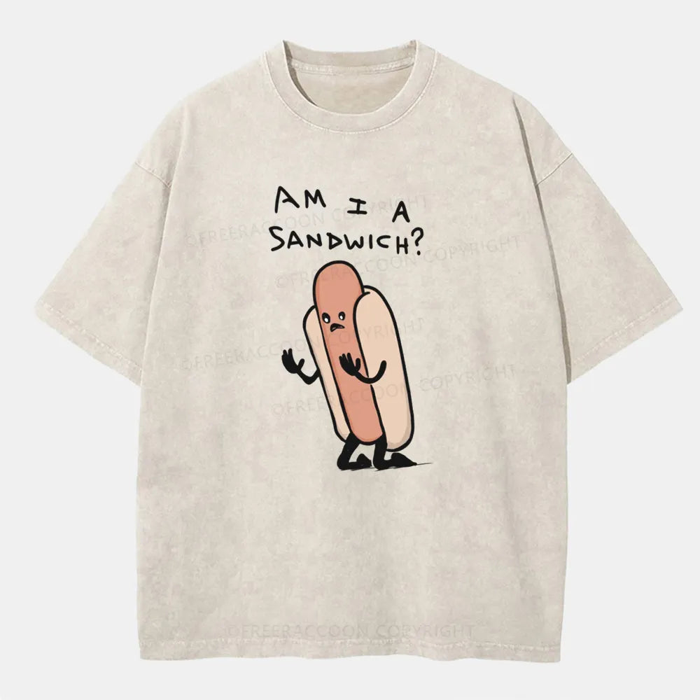 Vintage Am I A Sandwich Washed T-ShirtFat,T-Shirt,Washed TS,2502M,Siena,Humor,250225,Food,Hotdog