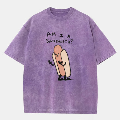 Vintage Am I A Sandwich Washed T-Shirt