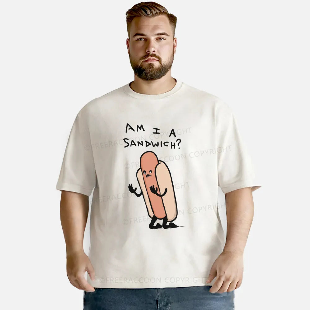 Vintage Am I A Sandwich Washed T-Shirt