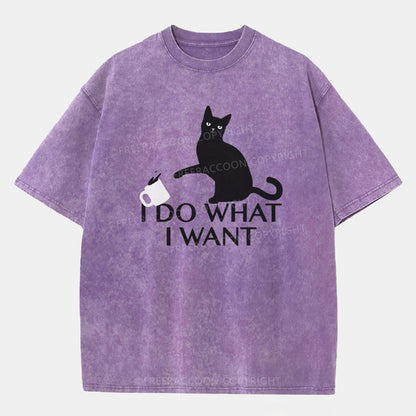 Vintage I Do What I Want Washed T-Shirt