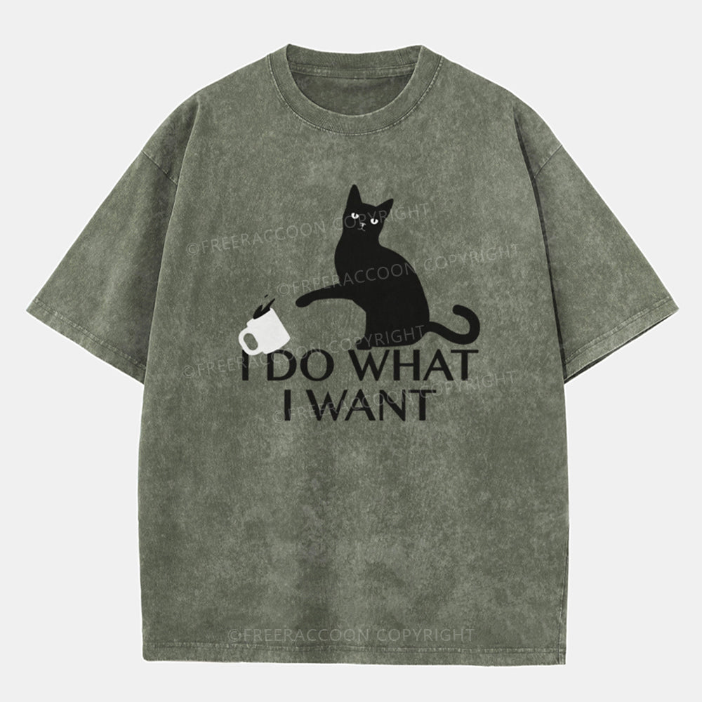 Vintage I Do What I Want Washed T-Shirt