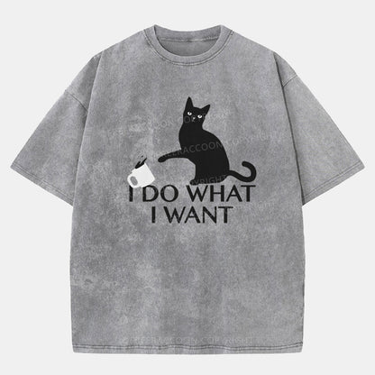 Vintage I Do What I Want Washed T-Shirt