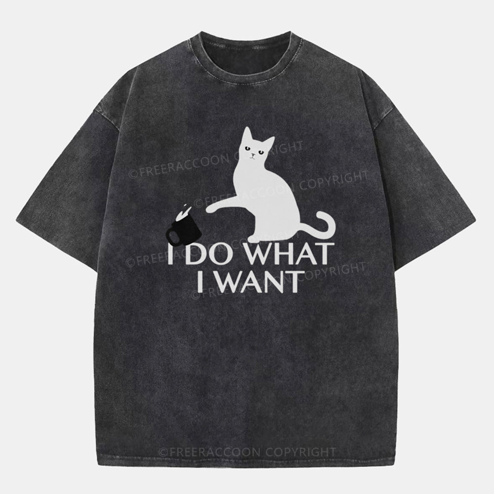 Vintage I Do What I Want Washed T-Shirt