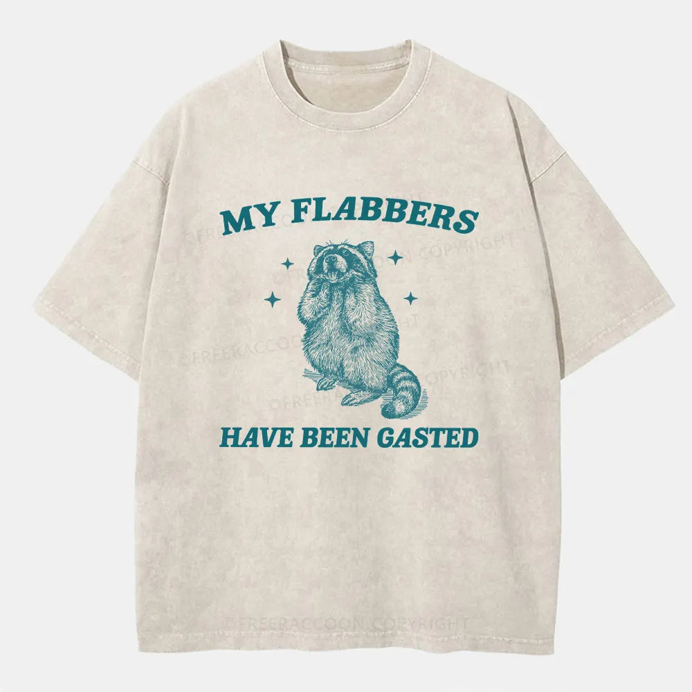 Vintage My Flabbers Have Been Gasted Washed T-Shirt