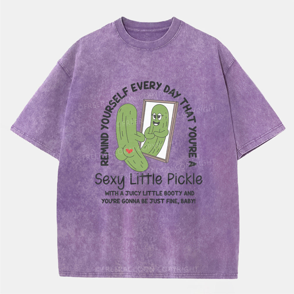 Vintage Remind Yourself Every Day That You’Re A Sexy Little Pickle Washed T-Shirt