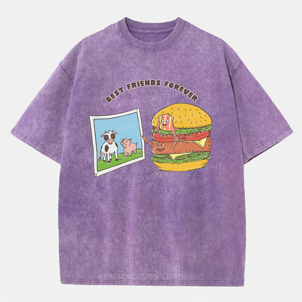 Vintage Best Friends Forever Washed T-ShirtT-Shirt,Washed TS,2502M,Siena,250225,Fat,Food,Hamburger,Sarcasm,Humor