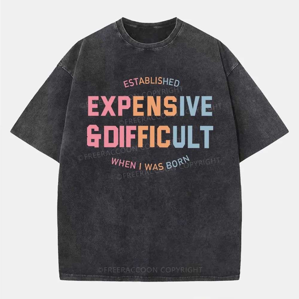 Vintage Expensive & Difficult Washed T-Shirt