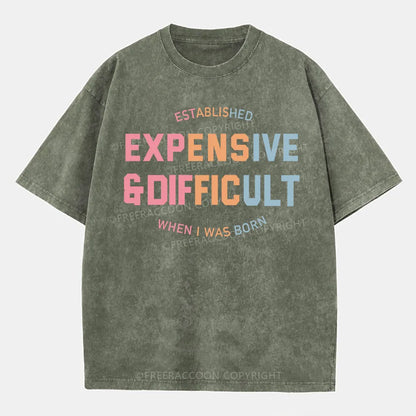 Vintage Expensive & Difficult Washed T-Shirt