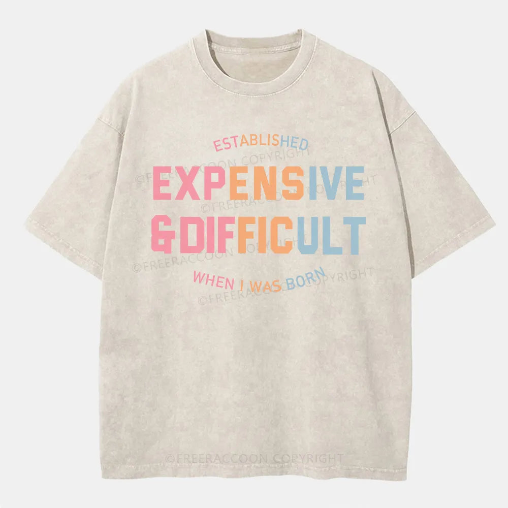 Vintage Expensive & Difficult Washed T-Shirt