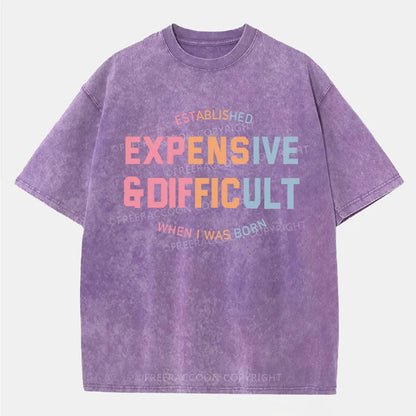 Vintage Expensive & Difficult Washed T-Shirt