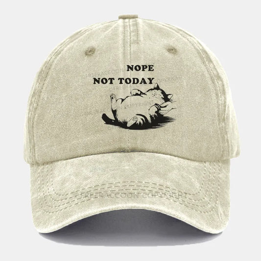 Vintage Nope, Not Today Washed Cap