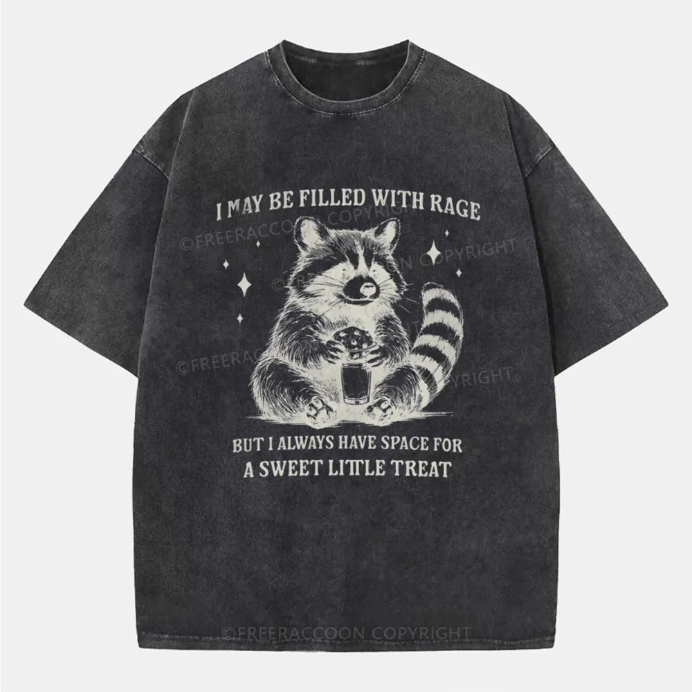 Vintage Sweet Little Treat Funny Raccoon Washed T-Shirt