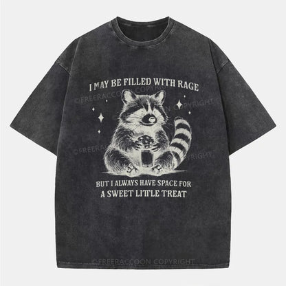 Vintage Sweet Little Treat Funny Raccoon Washed T-Shirt