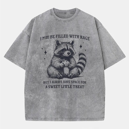 Vintage Sweet Little Treat Funny Raccoon Washed T-Shirt