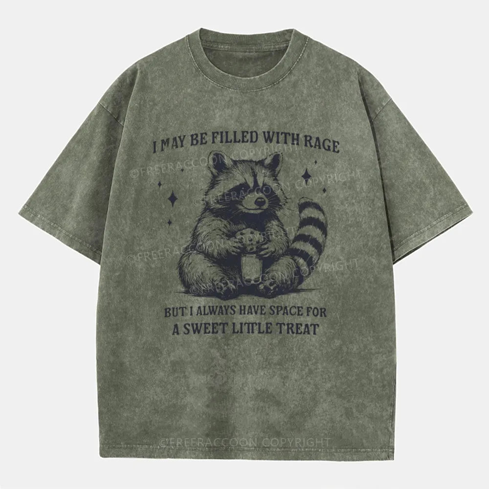 Vintage Sweet Little Treat Funny Raccoon Washed T-Shirt