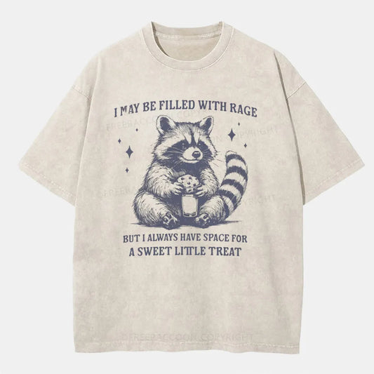 Vintage Sweet Little Treat Funny Raccoon Washed T-Shirt