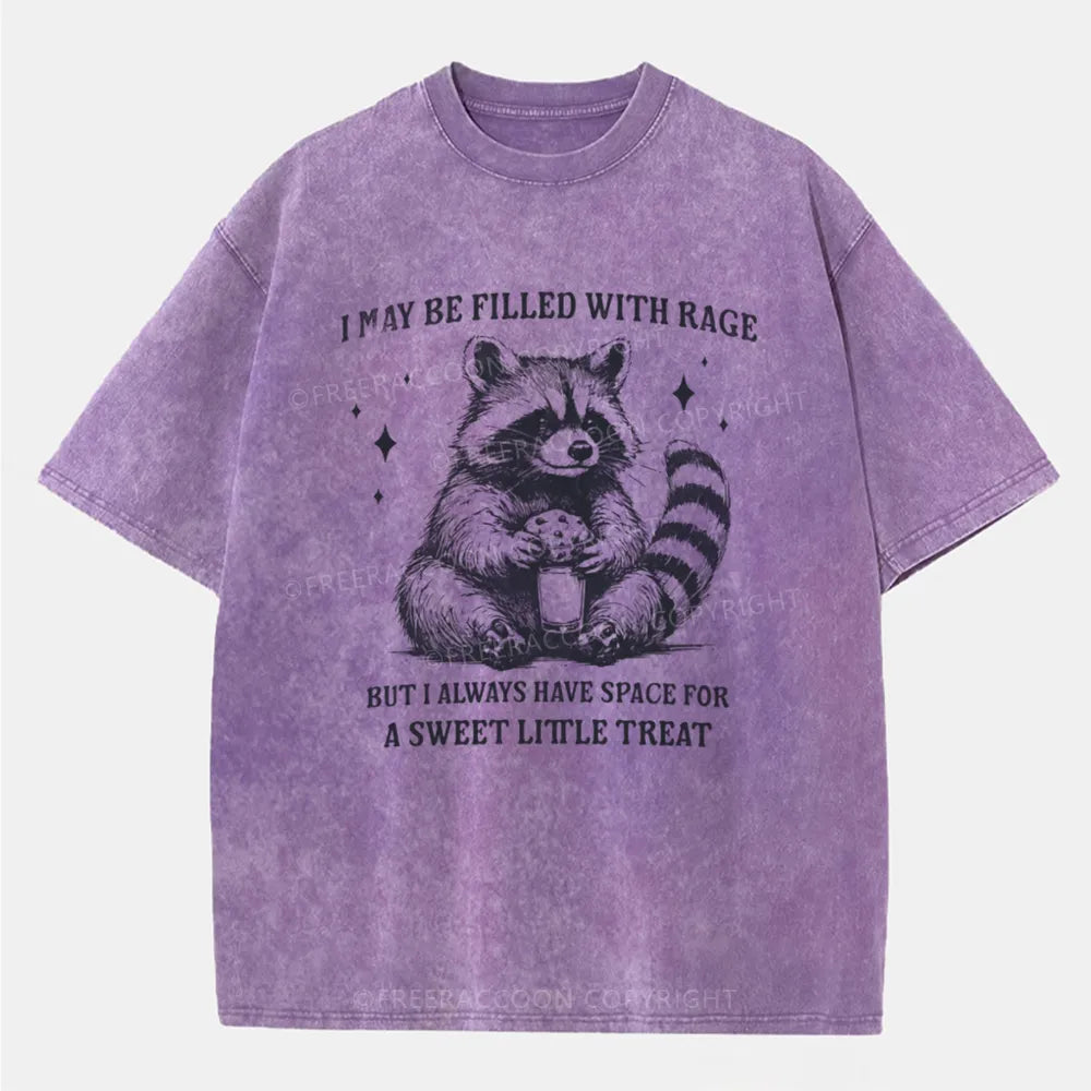 Vintage Sweet Little Treat Funny Raccoon Washed T-Shirt