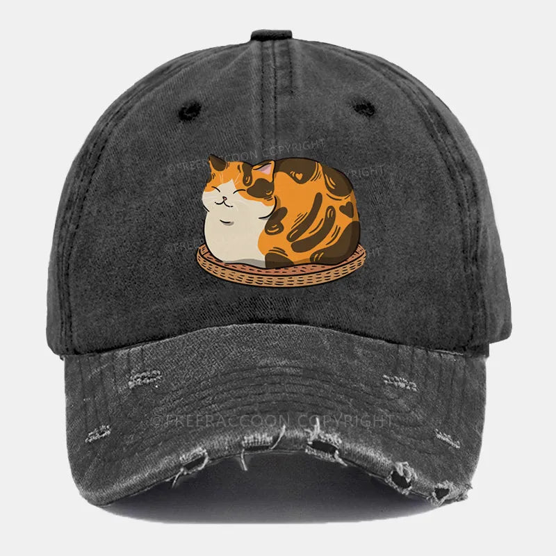 Vintage Fluffy Cat Ripped Washed Cap