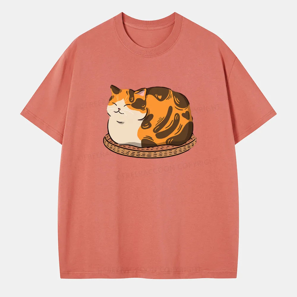 Vintage Fluffy Cat Classic T-Shirt