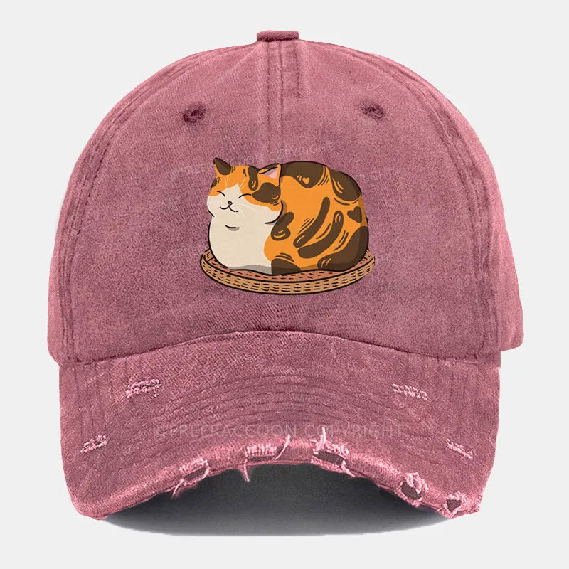 Vintage Fluffy Cat Ripped Washed Cap