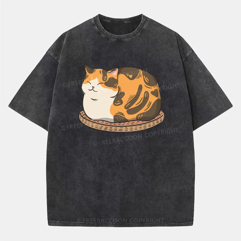 Vintage Fluffy Cat Washed T-Shirt