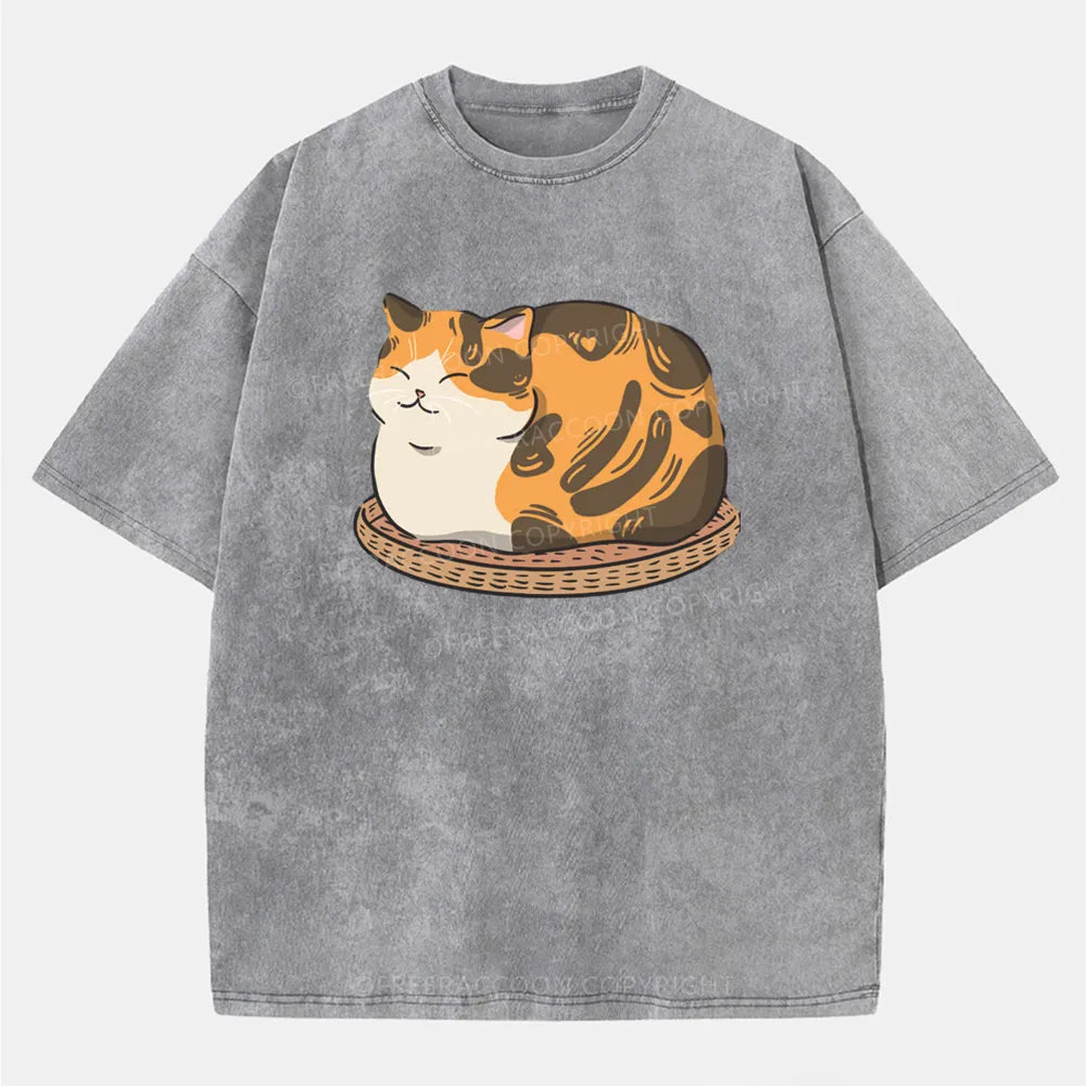 Vintage Fluffy Cat Washed T-Shirt