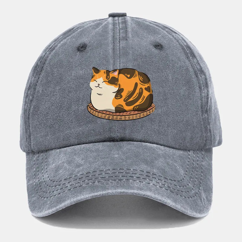 Vintage Fluffy Cat Washed Cap