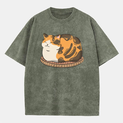 Vintage Fluffy Cat Washed T-Shirt