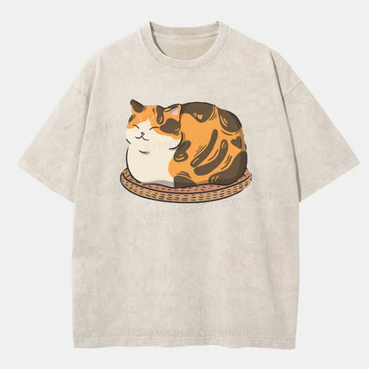 Vintage Fluffy Cat Washed T-Shirt