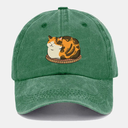 Vintage Fluffy Cat Washed Cap