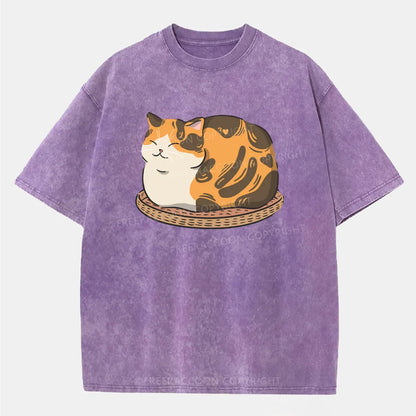 Vintage Fluffy Cat Washed T-Shirt