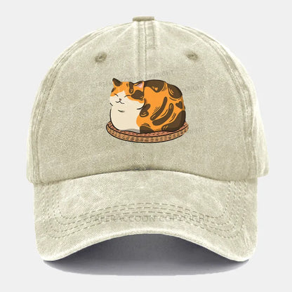 Vintage Fluffy Cat Washed Cap