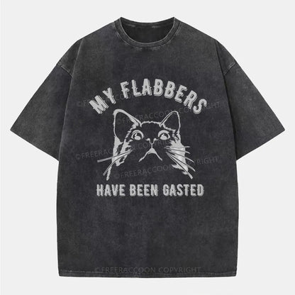 Vintage My Flabbers Have Been Gasted Washed T-Shirt