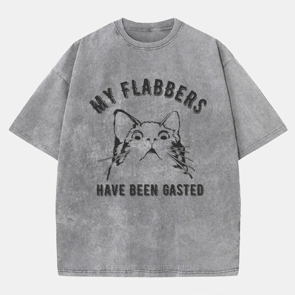 Vintage My Flabbers Have Been Gasted Washed T-Shirt