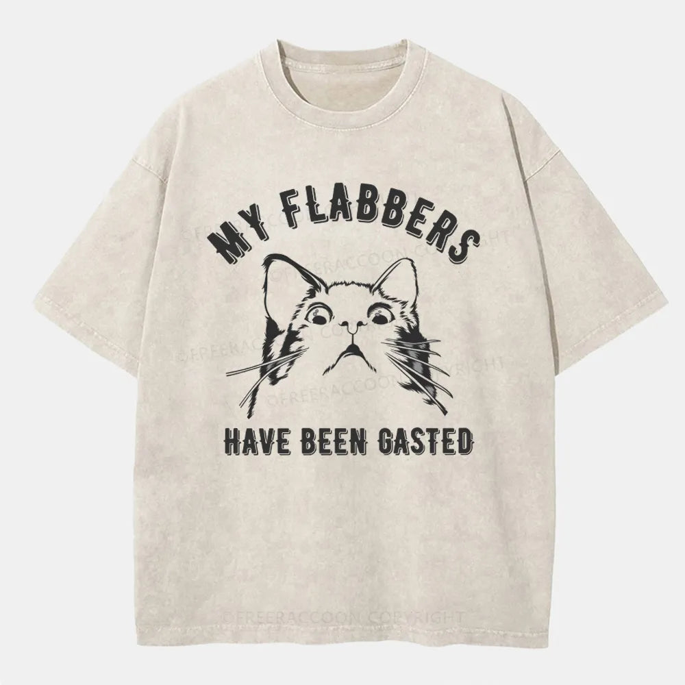 Vintage My Flabbers Have Been Gasted Washed T-Shirt