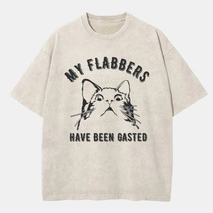 Vintage My Flabbers Have Been Gasted Washed T-Shirt