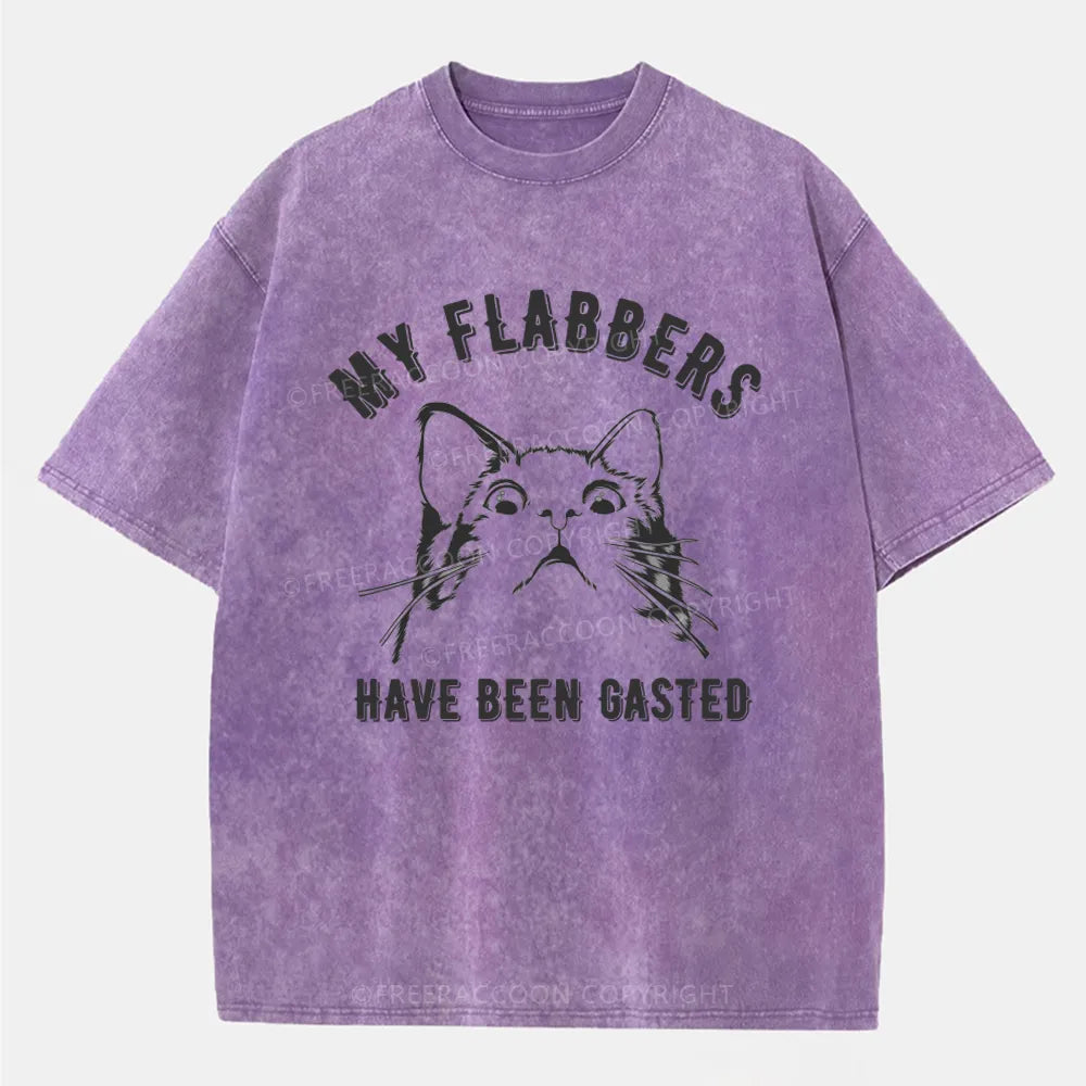 Vintage My Flabbers Have Been Gasted Washed T-Shirt