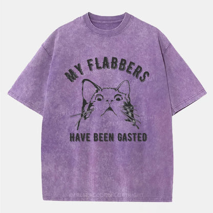 Vintage My Flabbers Have Been Gasted Washed T-Shirt