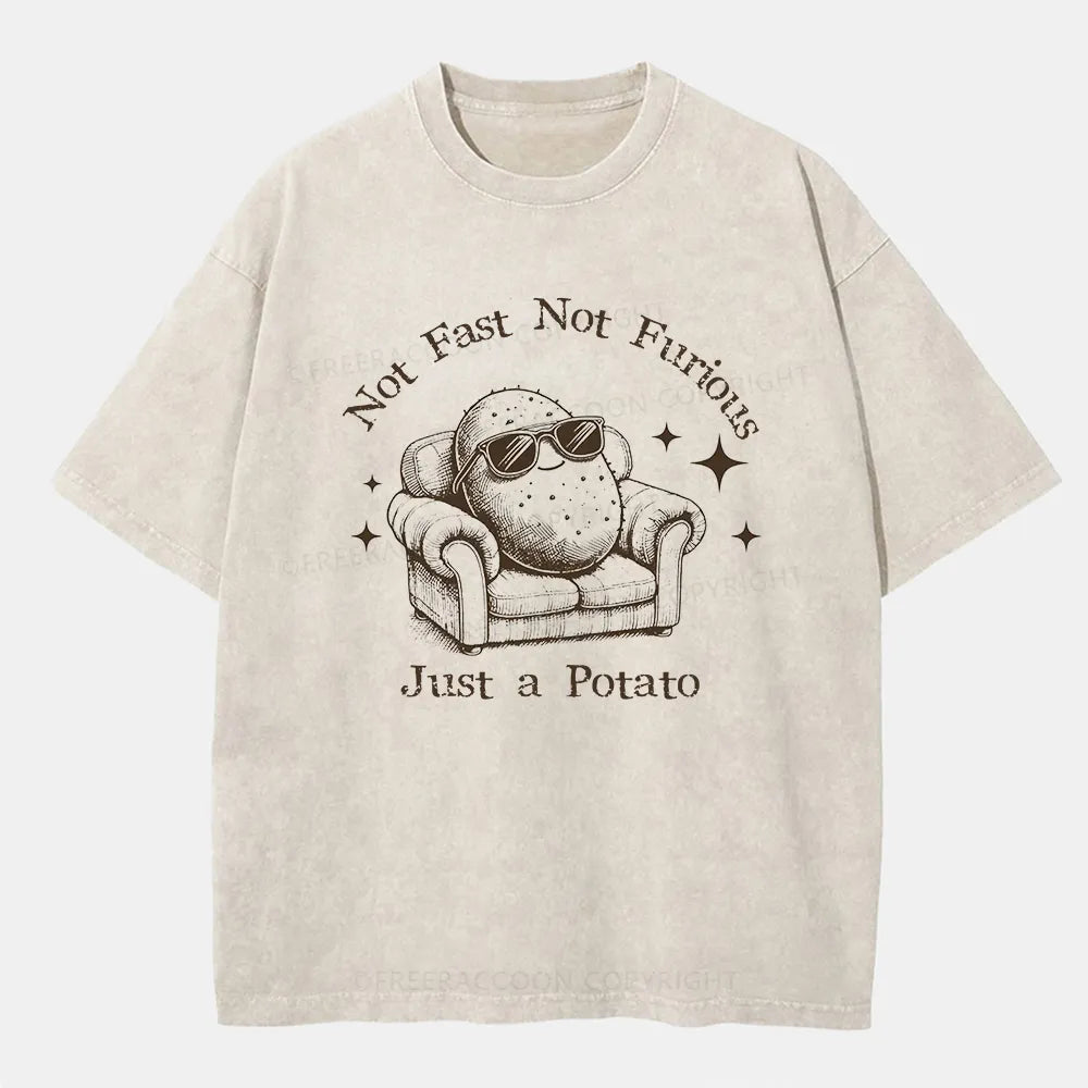 Vintage Not Fast Not Furious, Just A Potato Washed T-Shirt