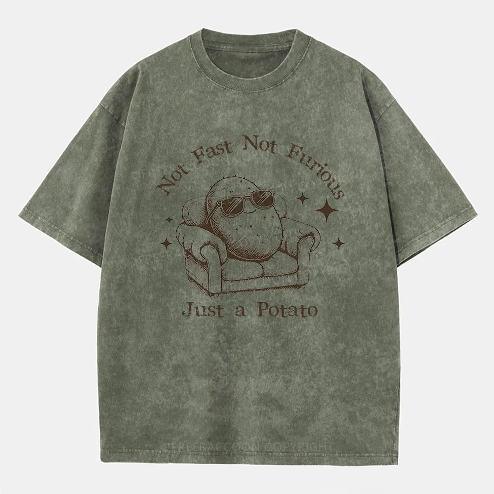 Vintage Not Fast Not Furious, Just A Potato Washed T-Shirt