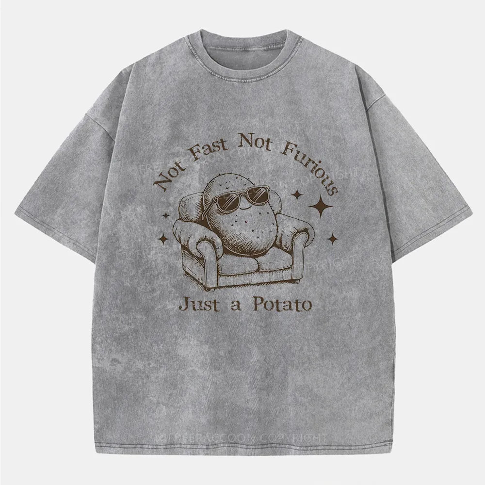 Vintage Not Fast Not Furious, Just A Potato Washed T-Shirt