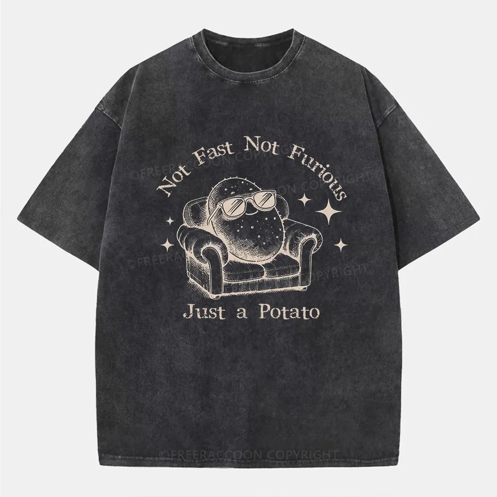 Vintage Not Fast Not Furious, Just A Potato Washed T-Shirt