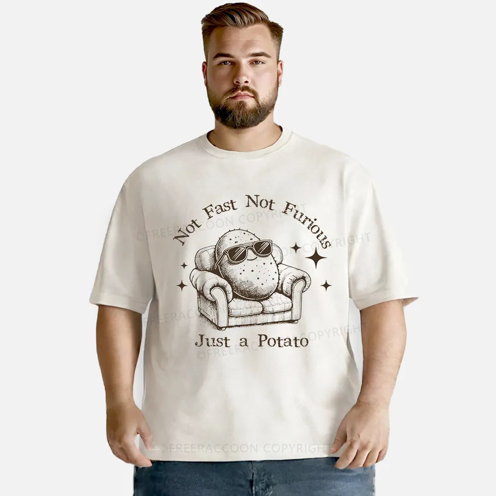 Vintage Not Fast Not Furious, Just A Potato Washed T-Shirt