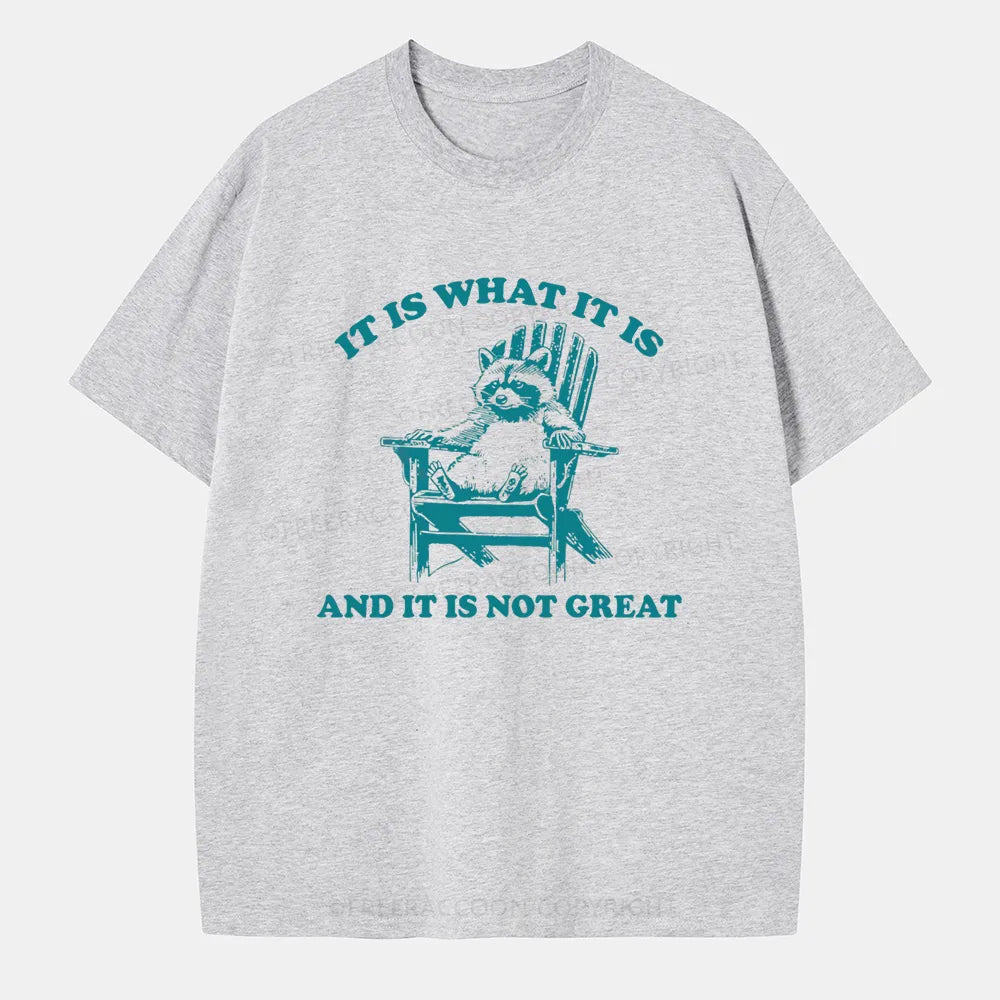 Vintage It Is What It Is And It Is Not Great Classic T-Shirt