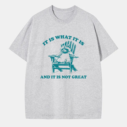 Vintage It Is What It Is And It Is Not Great Classic T-Shirt