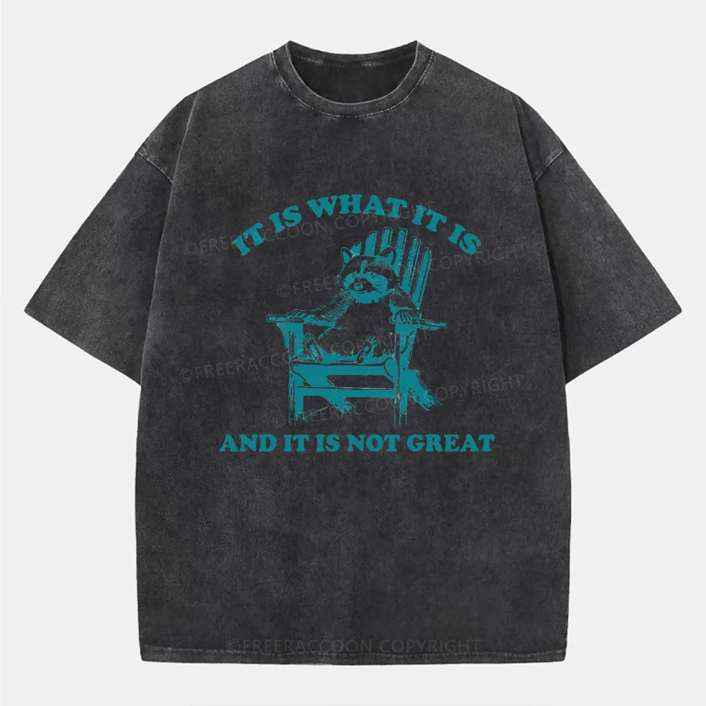 Vintage It Is What It Is And It Is Not Great Washed T-Shirt