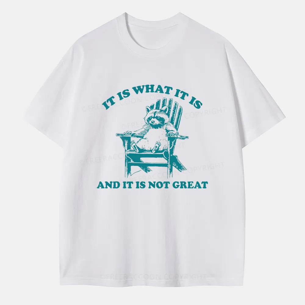 Vintage It Is What It Is And It Is Not Great Classic T-Shirt