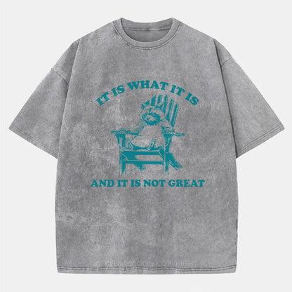 Vintage It Is What It Is And It Is Not Great Washed T-Shirt